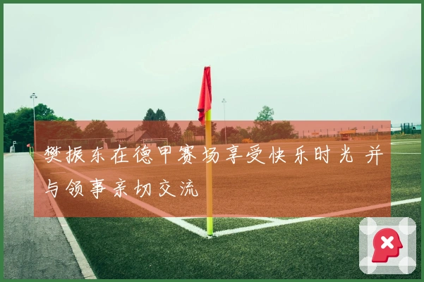 樊振东在德甲赛场享受快乐时光 并与领事亲切交流
